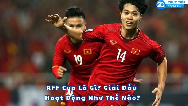 aff-cup-la-gi-1