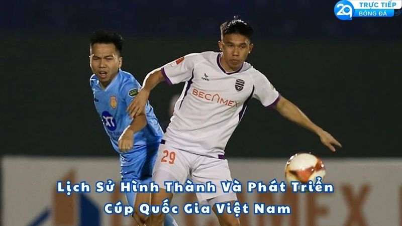 cup-quoc-gia-viet-nam-la-gi-2