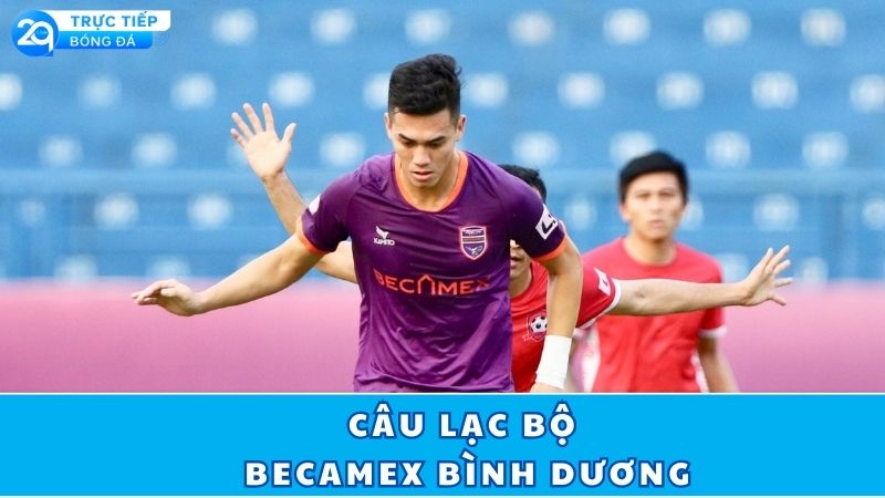 câu-lạc-bộ-becamex-bình-dương