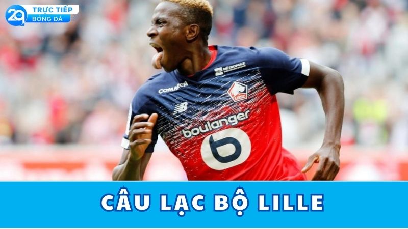 cau-lac-bo-lille